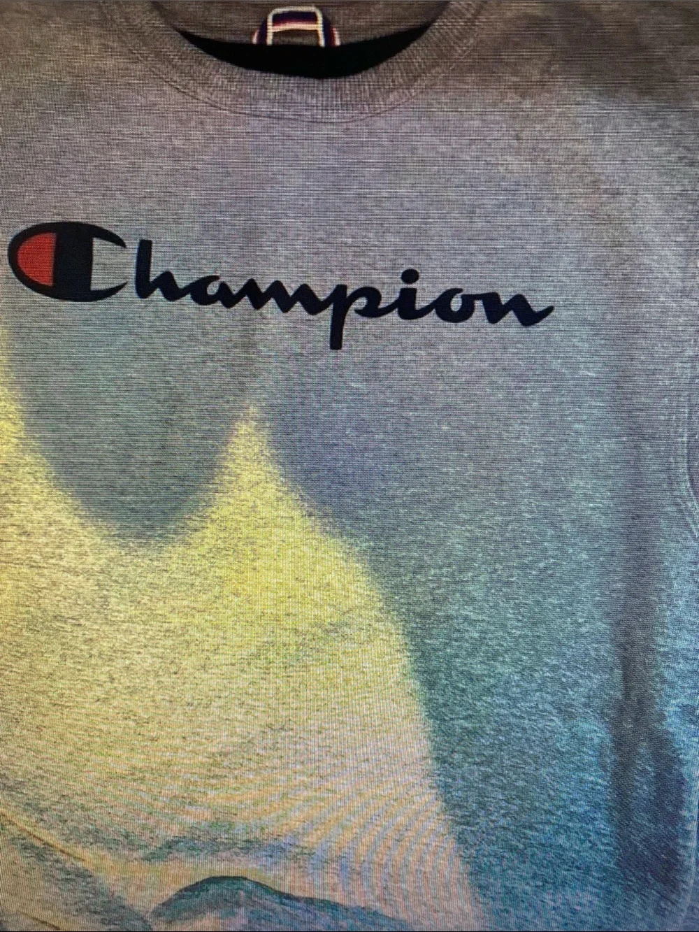 Champion Women's Gray Logo Crewneck Sweatshirt